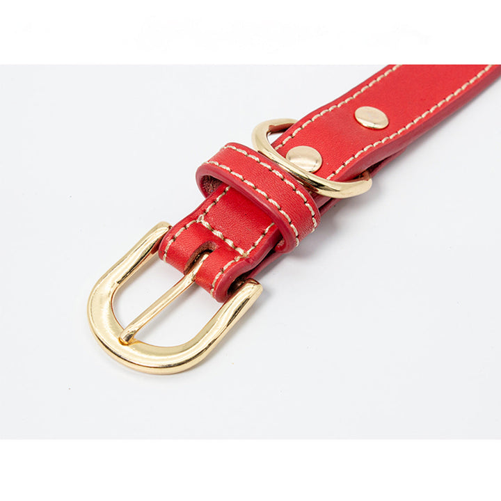 Genuine Leather Red Dog Collar with Airtag Case